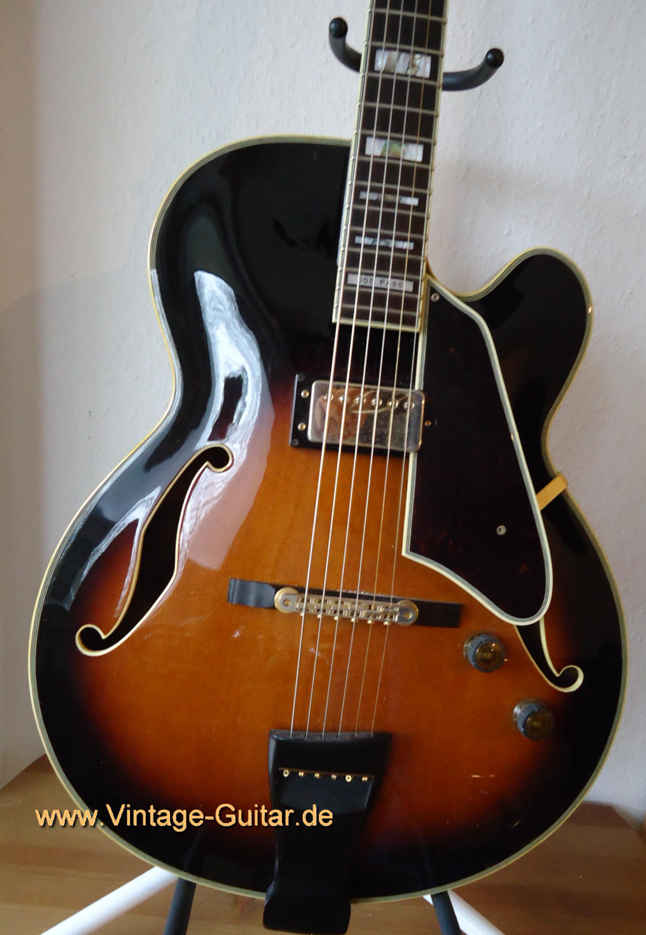 Ibanez Joe Pass b.jpg